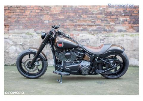 Harley-Davidson Heritage