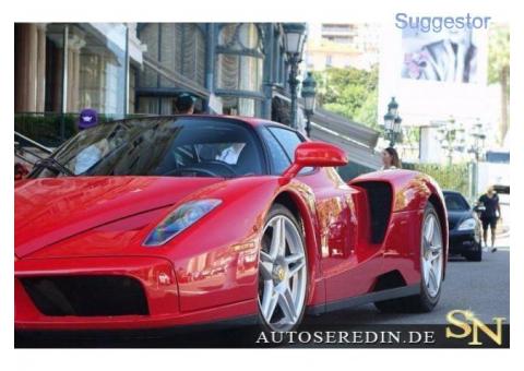 Ferrari Enzo LIKE NEW*